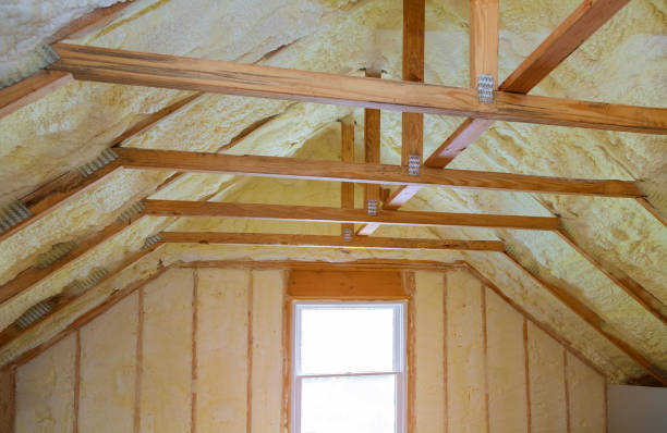 Best Cellulose Insulation in Palm Beach, FL