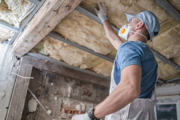 Types of Insulation We Offer in Palm Beach, FL