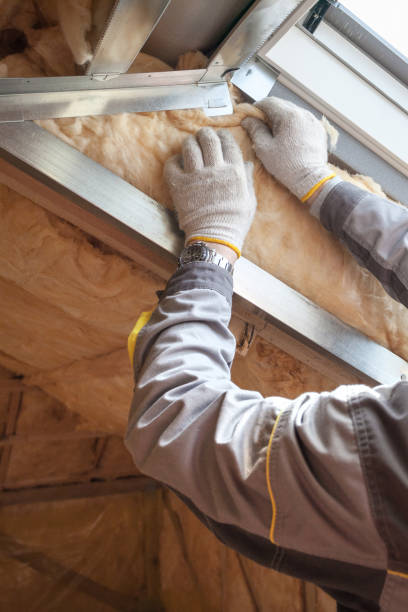 Best Insulation Maintenance and Repair in Palm Beach, FL