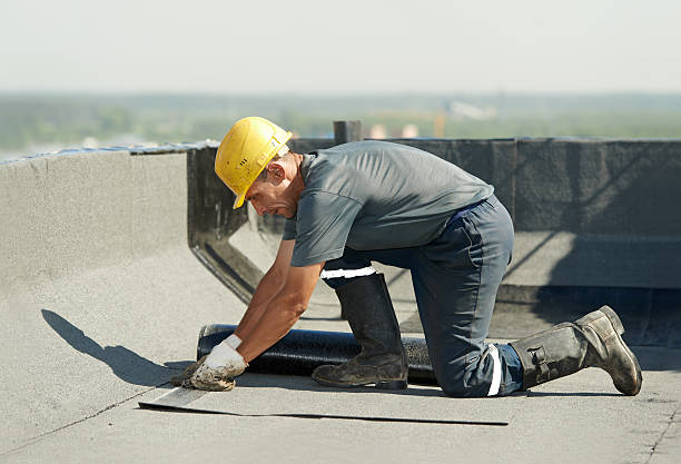 Best DIY Insulation Kits and Guidance in Palm Beach, FL