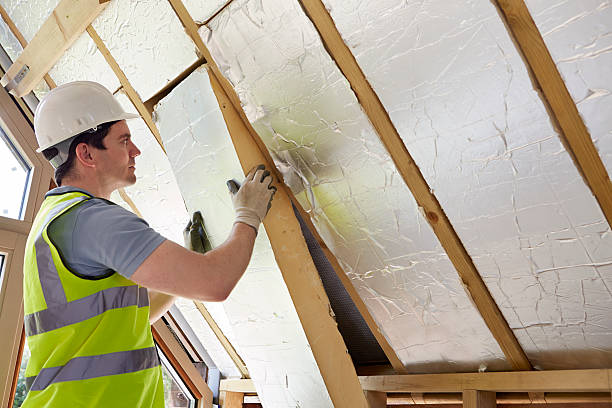 Best Geographic-Specific Insulation Services in Palm Beach, FL