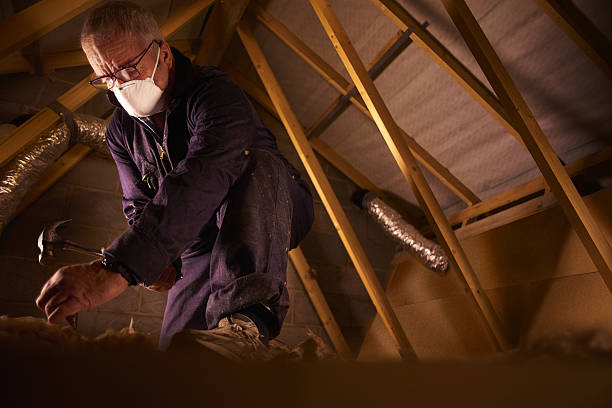 Best Eco-Friendly Insulation in Palm Beach, FL